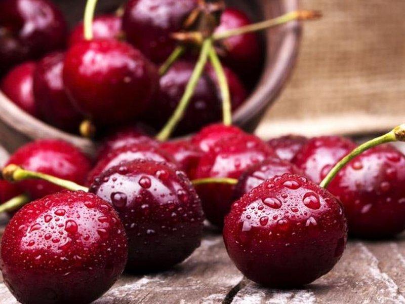 Вишня купить саженцы из питомника в Братске